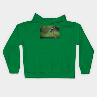 A Fly_By Greeting Kids Hoodie